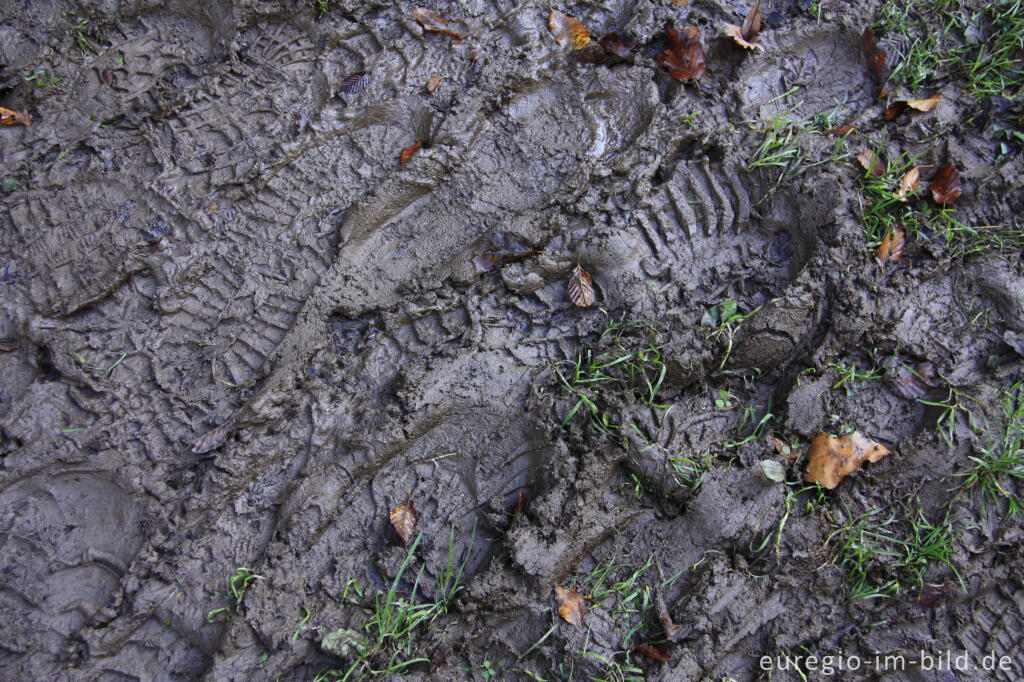 Detailansicht von Schuhspuren auf matschigem Weg (Eifelsteig)