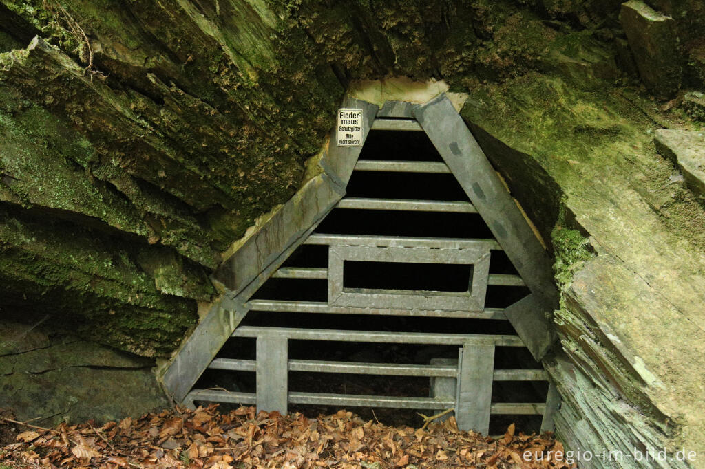 Detailansicht von Schutzgutter an einer Fledermaushöhle, Schöpfungspfad bei Erkensruhr