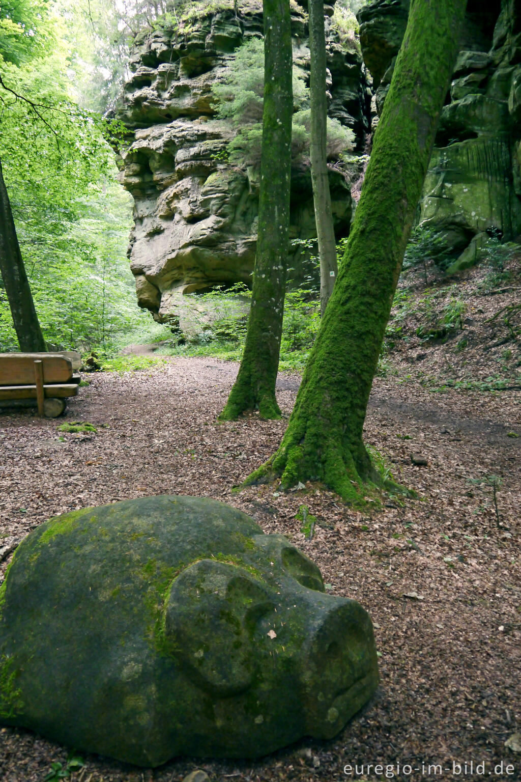 Detailansicht von Schweineskulptur am Eingang zu den "Schweineställen", Südeifel bei Bollendorf