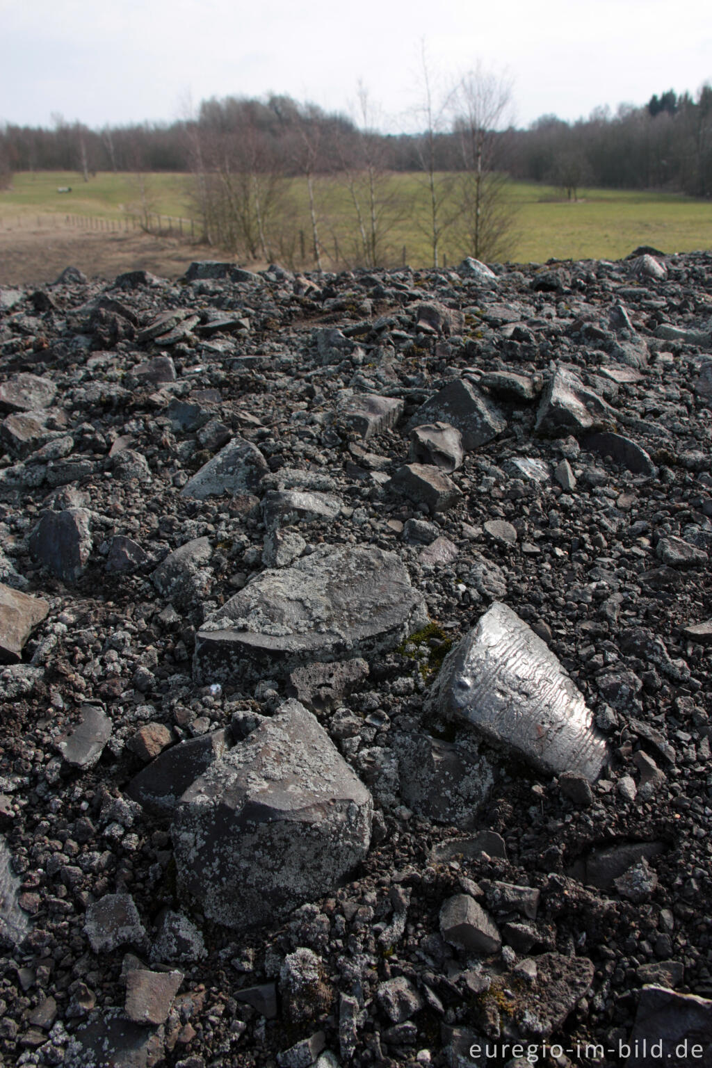 Detailansicht von Schwermetallhaltige Halde bei Plombières