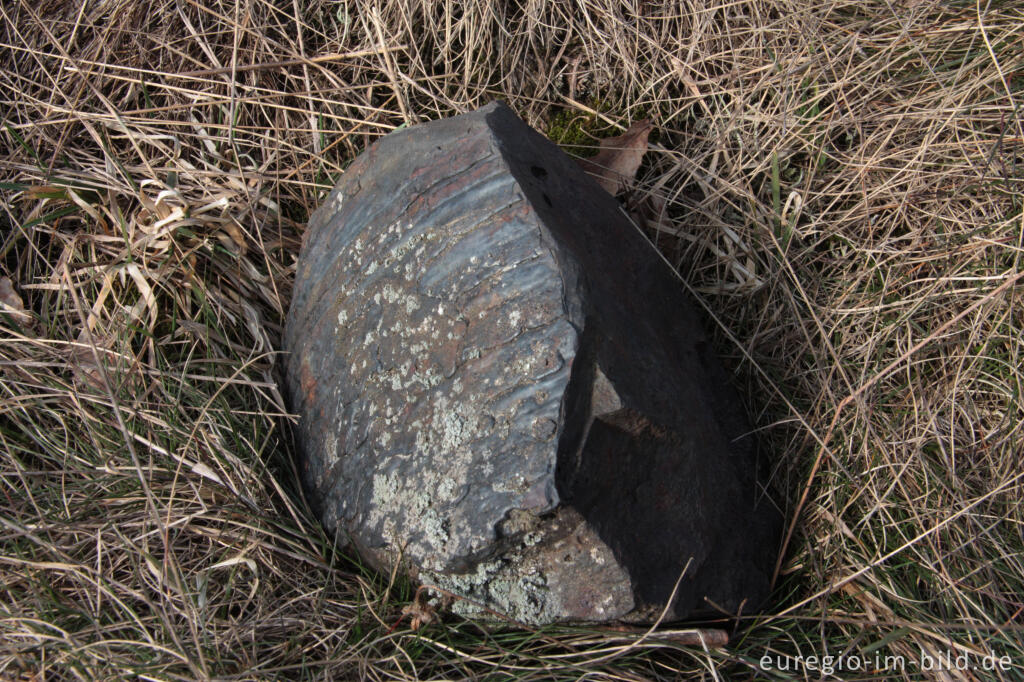 Detailansicht von Schwermetallhaltige Halde bei Plombières