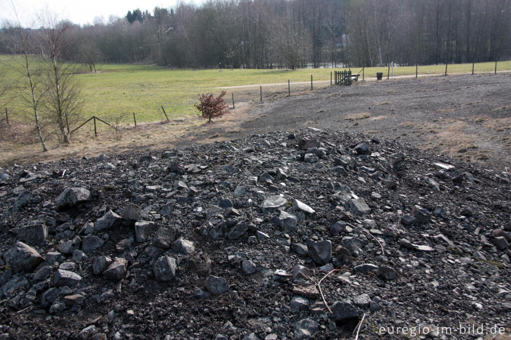 Detailansicht von Schwermetallhaltige Halde bei Plombières