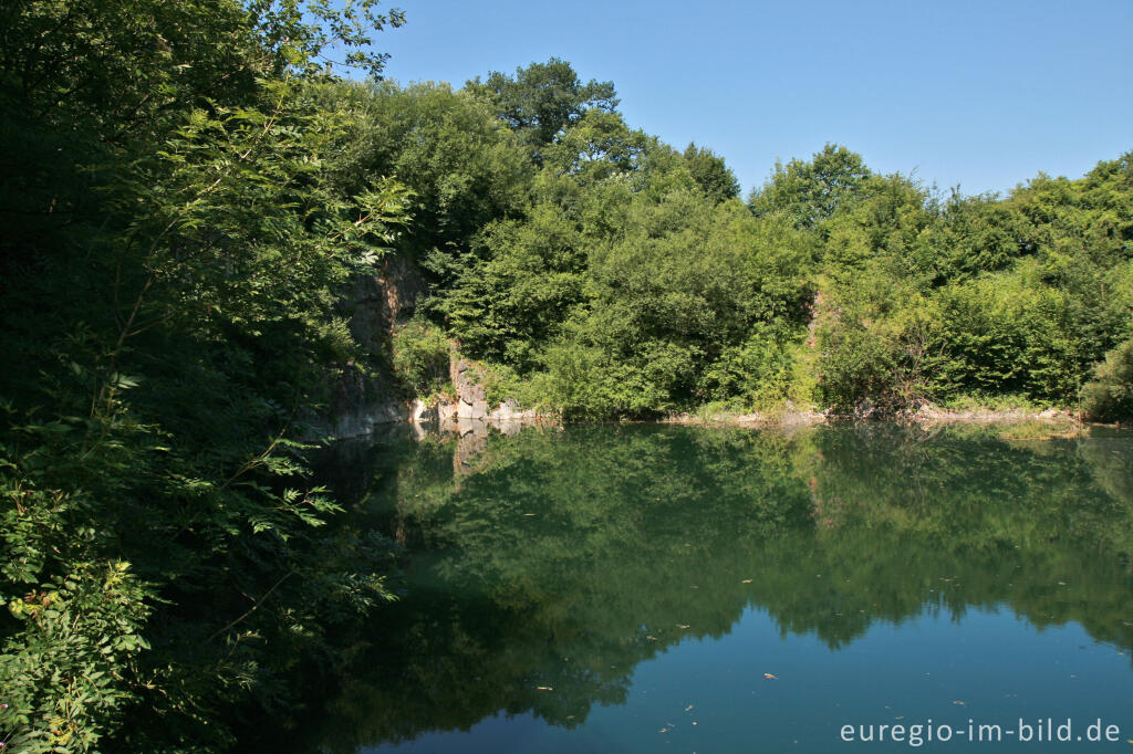 Detailansicht von See im Naturschutzgebiet Schomet bei Breinig