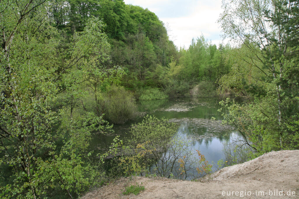 Detailansicht von See in einem Steinbruch bei Walheim