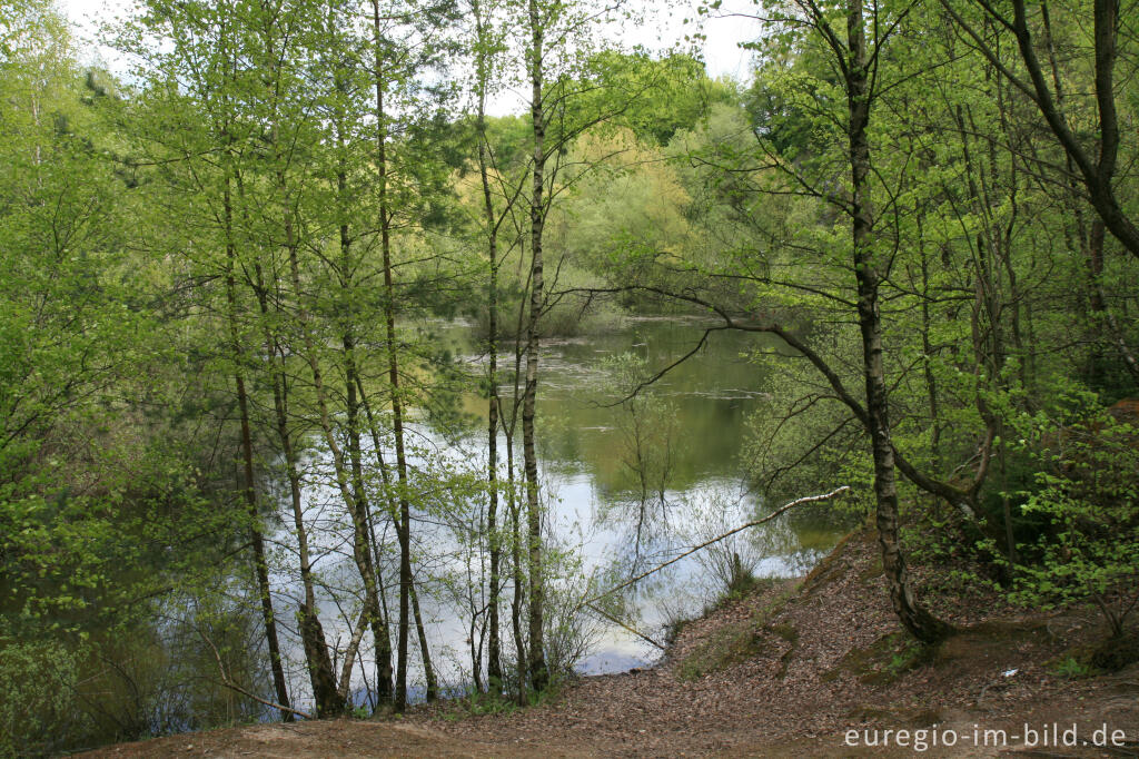 Detailansicht von See in einem Steinbruch bei Walheim