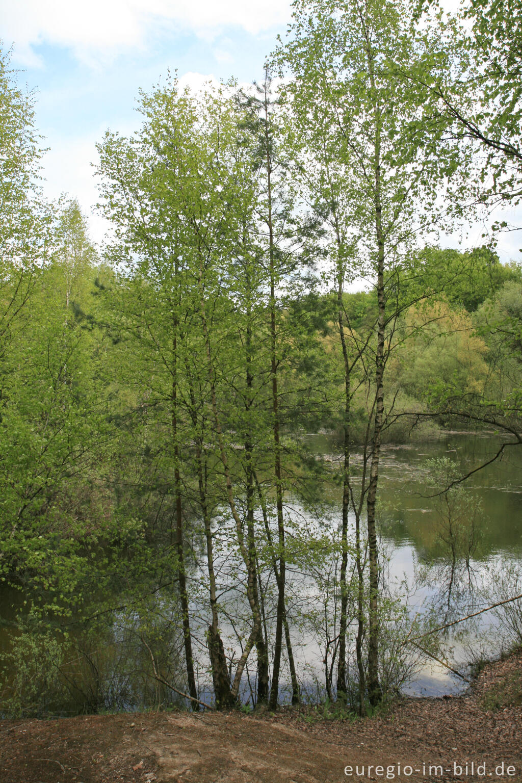 Detailansicht von See in einem Steinbruch bei Walheim