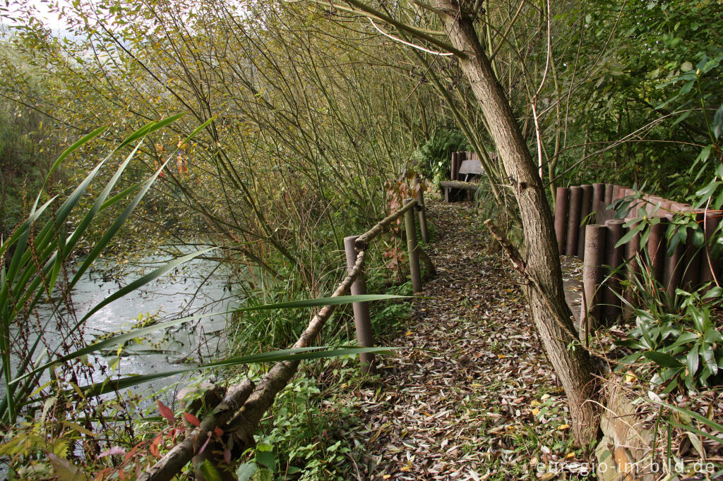 Detailansicht von See mit Weg, Hospizgarten des Hortus Dialogus