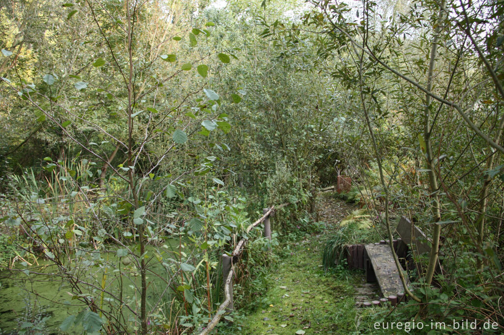 Detailansicht von See mit Weg, Hospizgarten des Hortus Dialogus