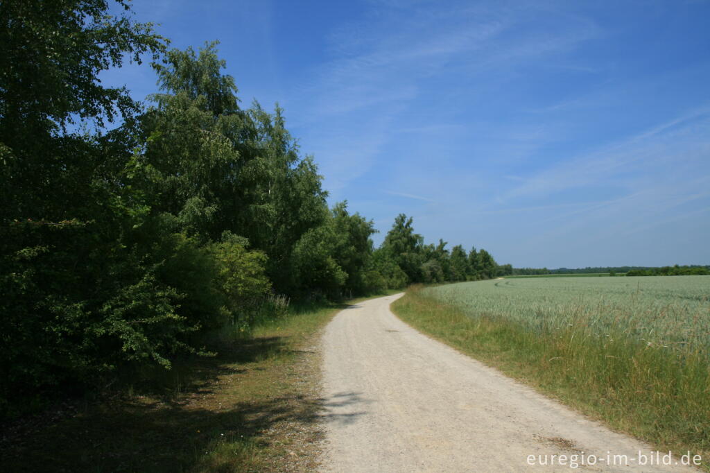 Detailansicht von Seerundweg um den Blausteinsee im nördlichen Teil