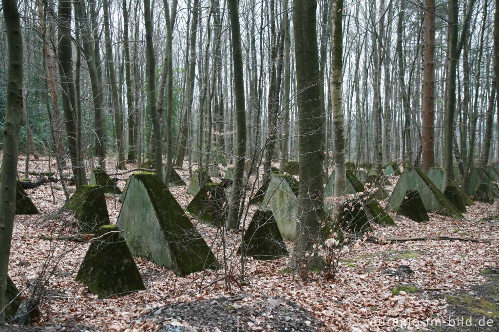 Detailansicht von Siegfriedlinie beim Relais Königsberg an der B258