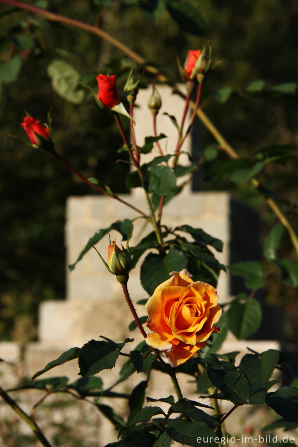 Detailansicht von Skulptur im Rosengarten, Hortus Dialogus