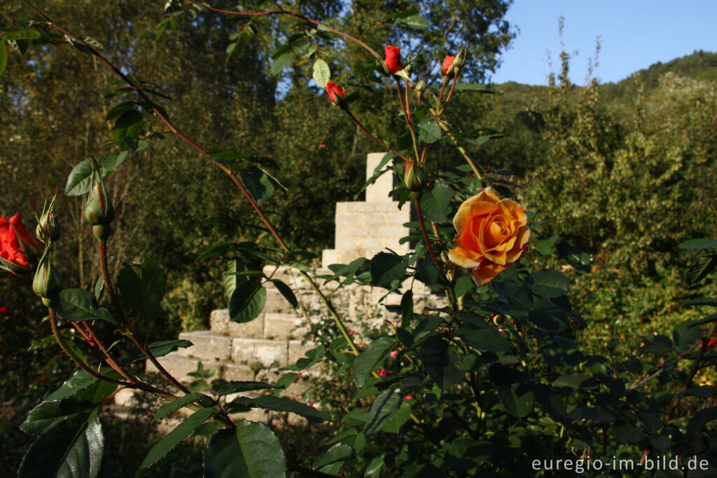 Detailansicht von Skulptur im Rosengarten, Hortus Dialogus