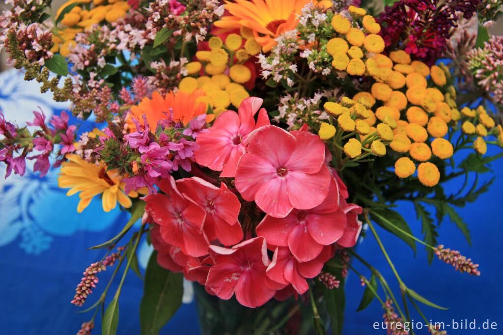 Detailansicht von Sommerblumen