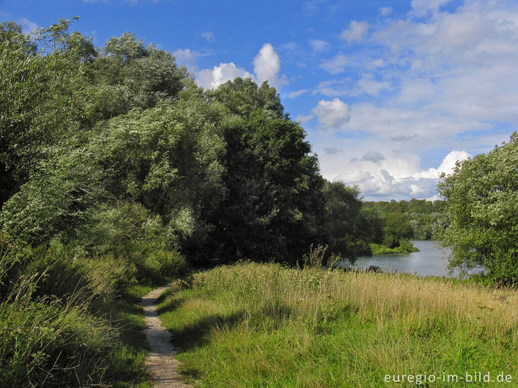 Detailansicht von Sommerstimmung am Cranenweyer