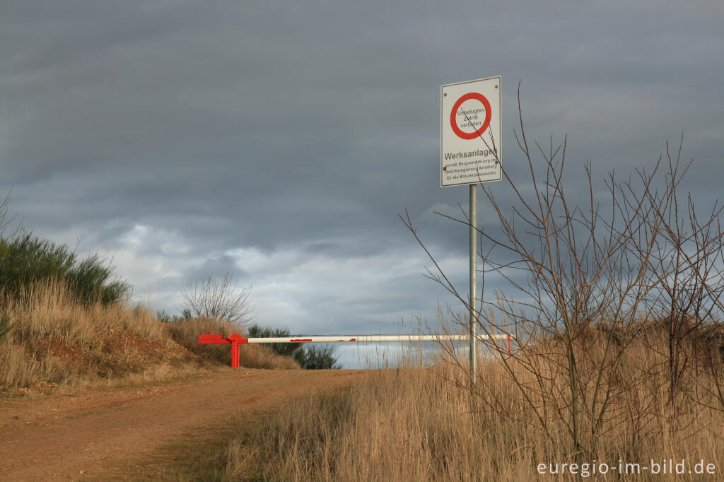 Detailansicht von Sophienhöhe, an der Grenze zum Tagebau