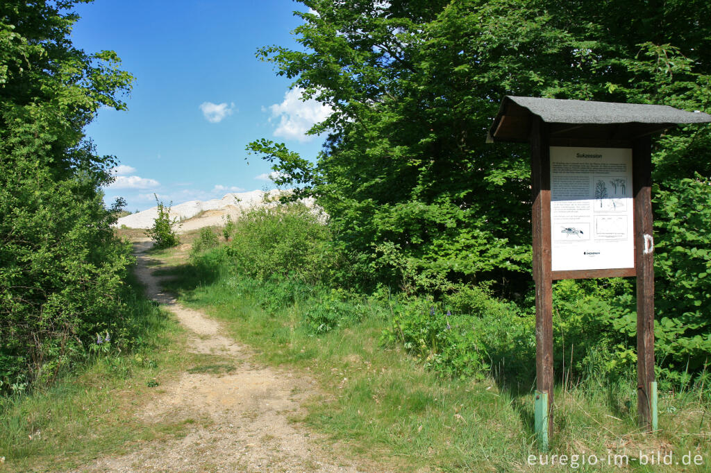 Sophienhöhe, Höller Horn