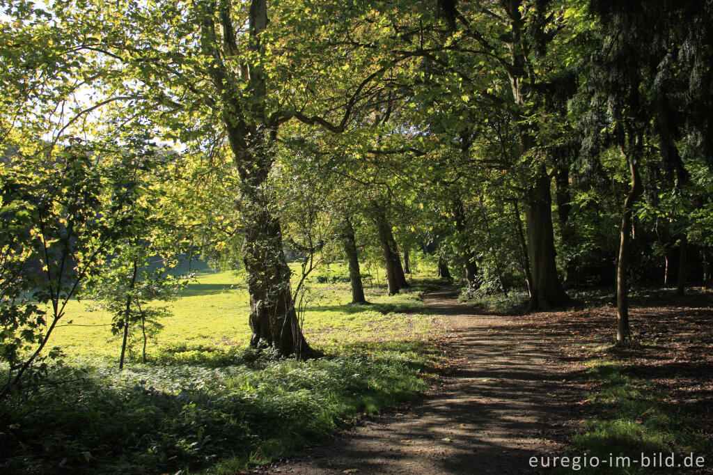 Detailansicht von Spazierweg im Müschpark, Aachen