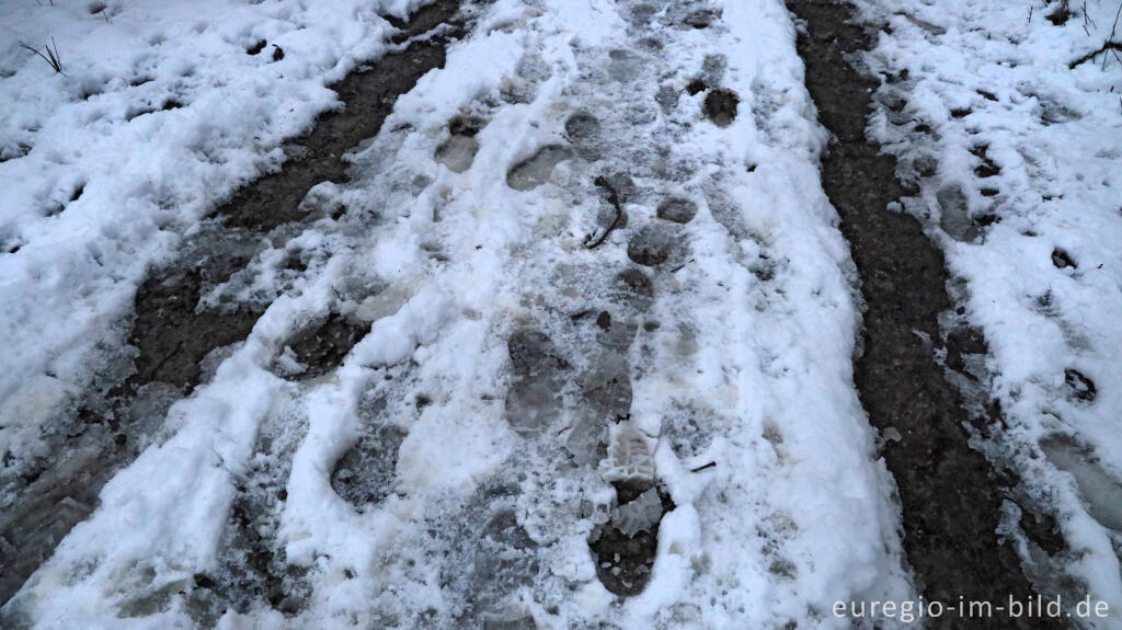 Detailansicht von Spuren auf einem verschneten Weg, Hetzinger Wald