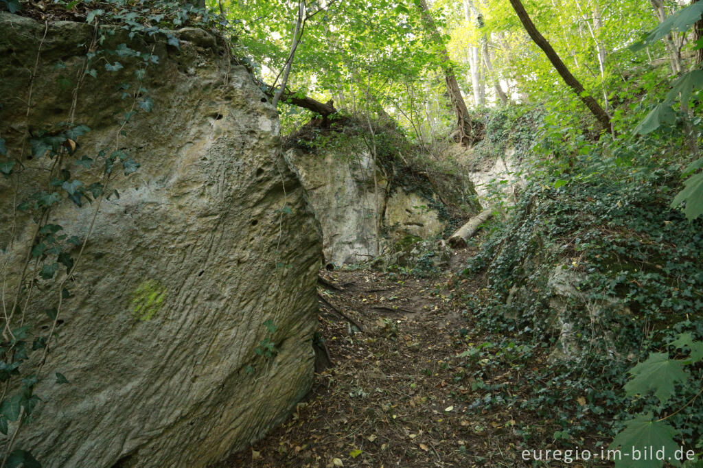 Detailansicht von Spuren des historischen Mergelabbaus auf dem  Plateau von Caestert, bei Maastricht