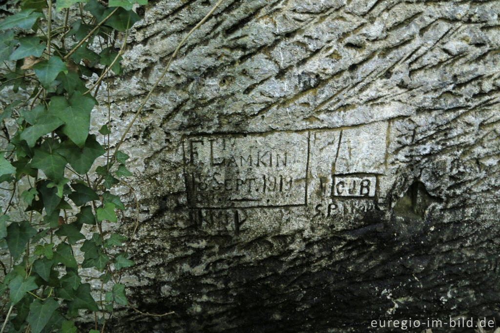 Detailansicht von Spuren des historischen Mergelabbaus auf dem  Plateau von Caestert, bei Maastricht