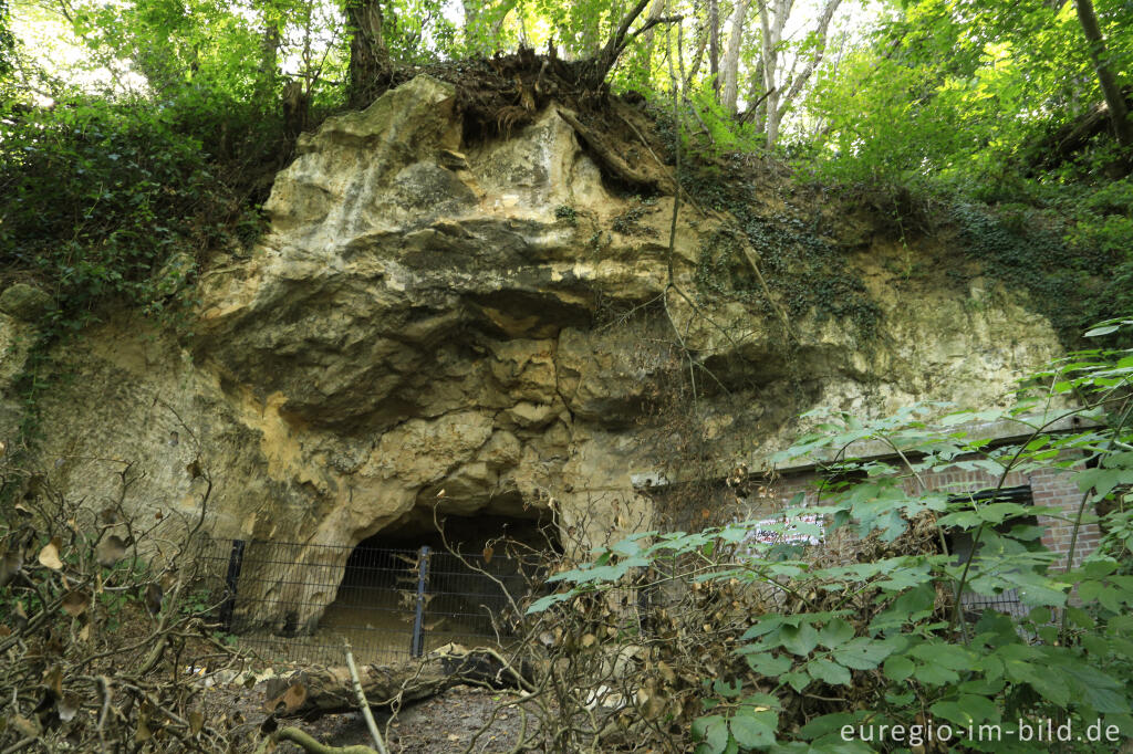 Detailansicht von Spuren des historischen Mergelabbaus auf dem  Plateau von Caestert, bei Maastricht