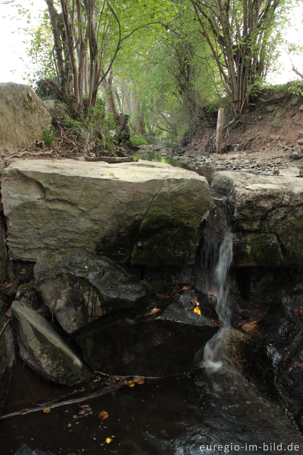 Detailansicht von Staustufe zur Wasserregulierung beim Katzekönkel in Raeren, Periolbach