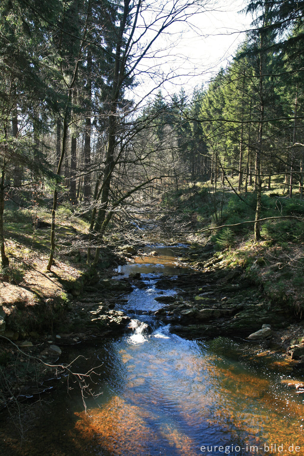 Steinbach, Eifelsteig, 2.Etappe