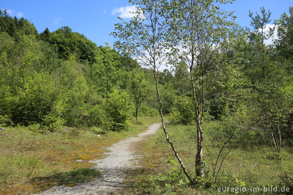 Detailansicht von Steinbruch im Freizeitgelände Walheim