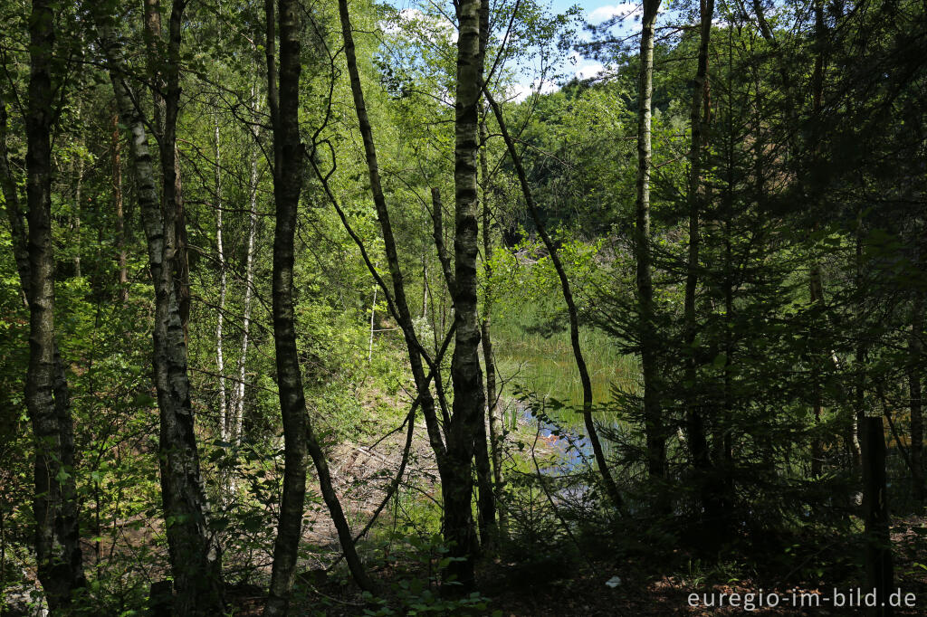 Detailansicht von Steinbruch im Freizeitgelände Walheim