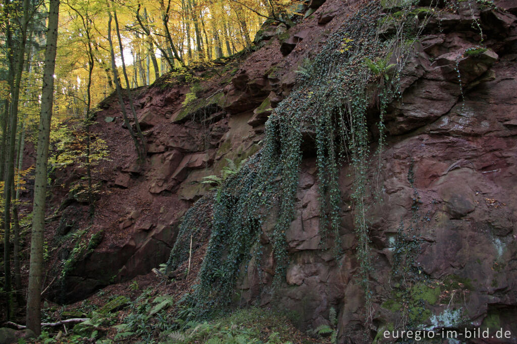 Detailansicht von Steinbruch im Kylltal zwischen Mühlenflürchen und Kordel