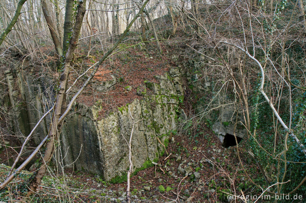 Detailansicht von Steinbruch, NSG, Schmithof (Aachen-Schmithof)