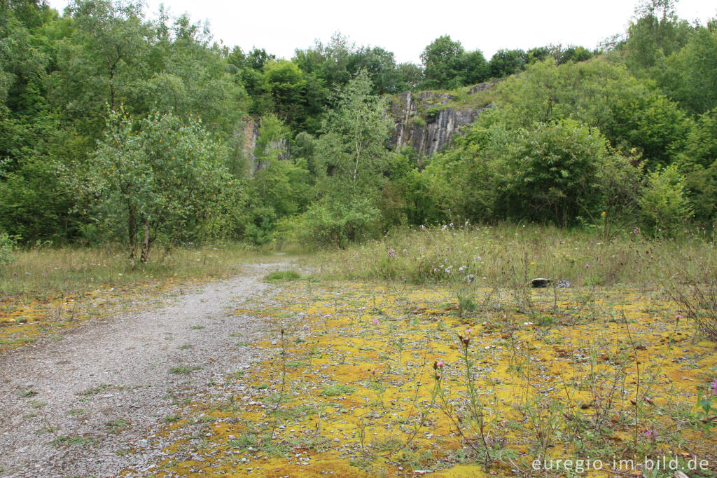 Detailansicht von Steinbruchgebiet bei Aachen-Walheim