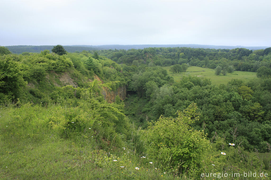 Detailansicht von Steinbruchgebiet Brockenberg bei Stolberg