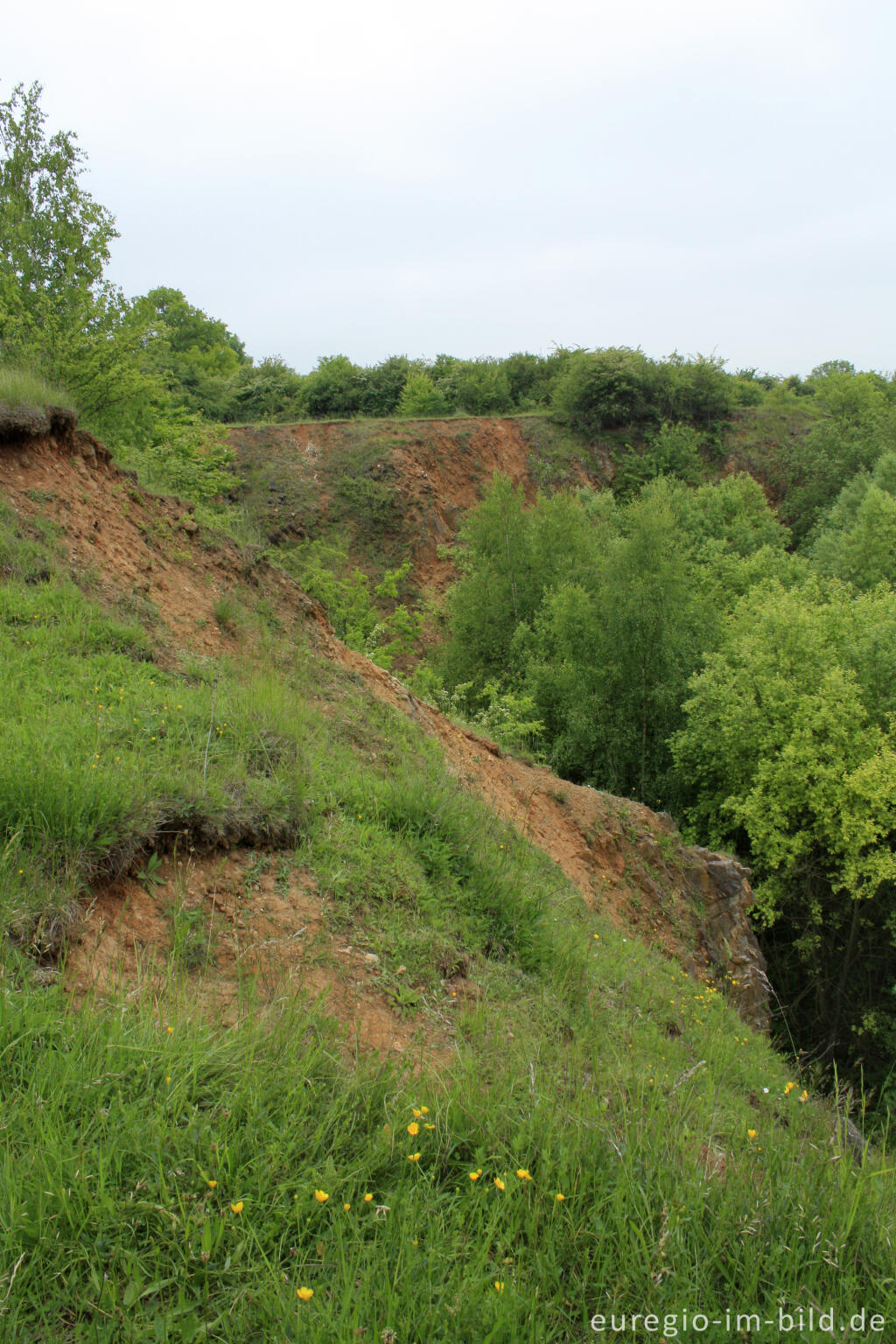 Detailansicht von Steinbruchgebiet Brockenberg bei Stolberg