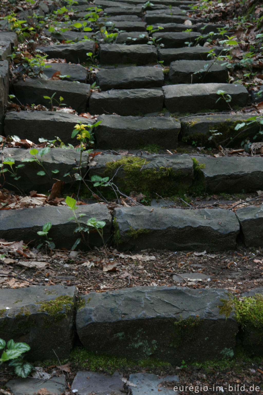 Detailansicht von Steintreppe im Hambos bei Kerkrade, NL