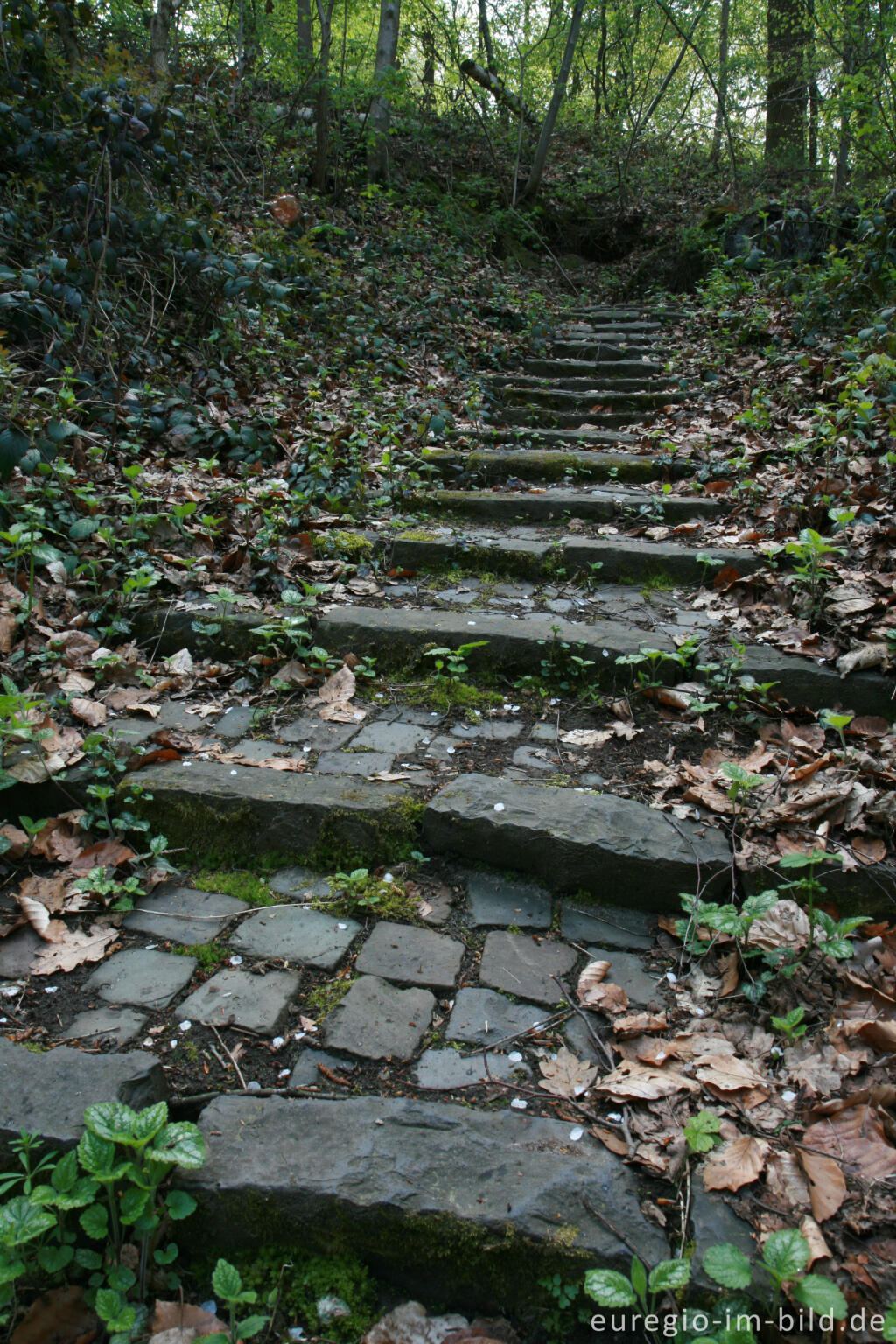 Detailansicht von Steintreppe im Hambos bei Kerkrade, NL