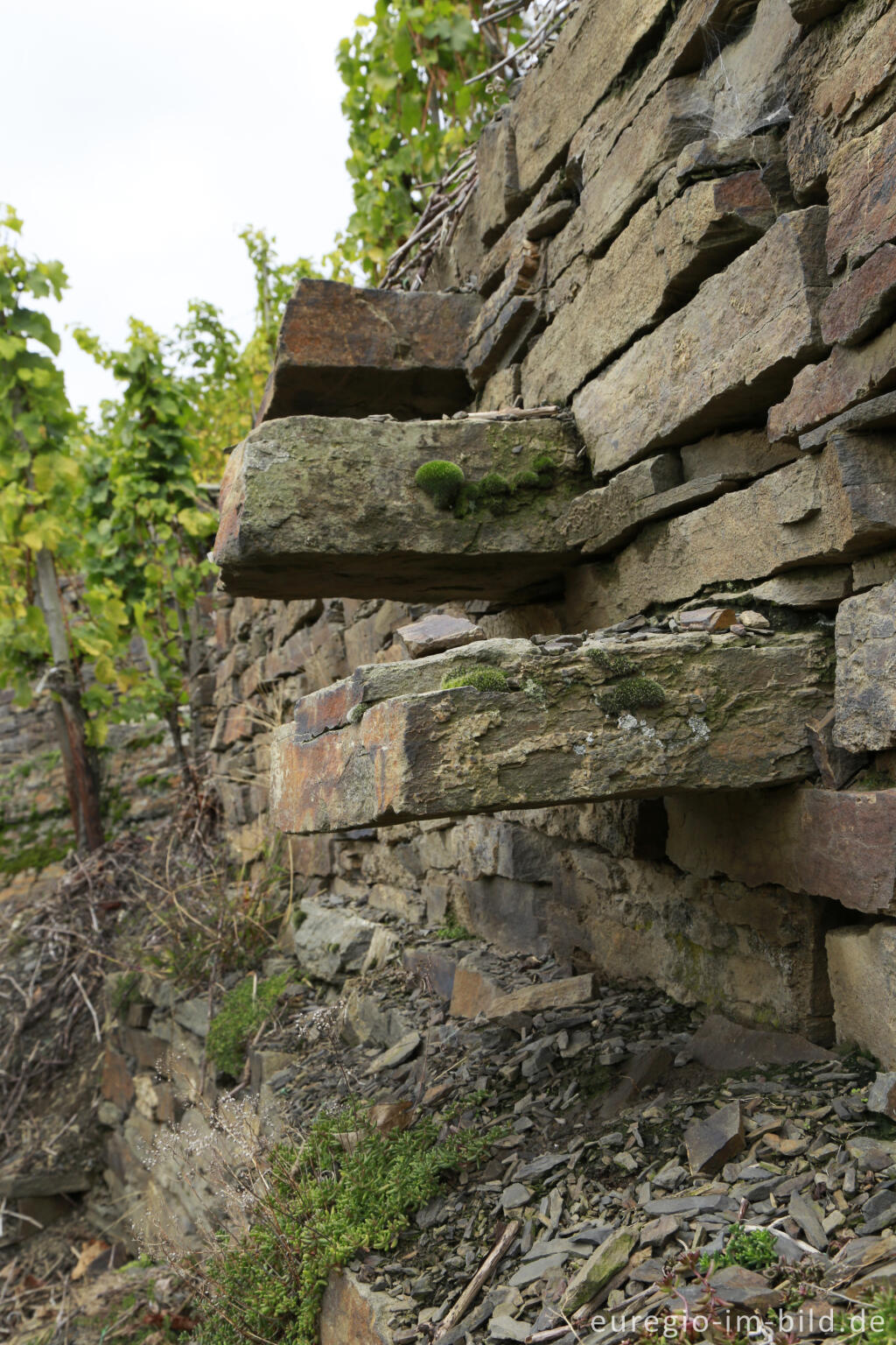 Detailansicht von Steintreppe un den Weinbergen des mittleren Ahrtals