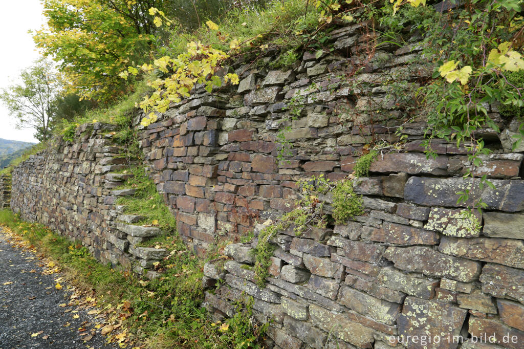 Detailansicht von Steintreppe un den Weinbergen des mittleren Ahrtals