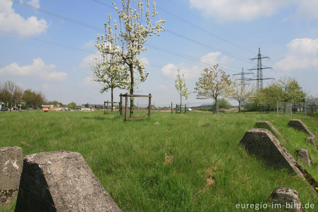 Detailansicht von Steuobstwiese und Panzersperre, Herzogenrath