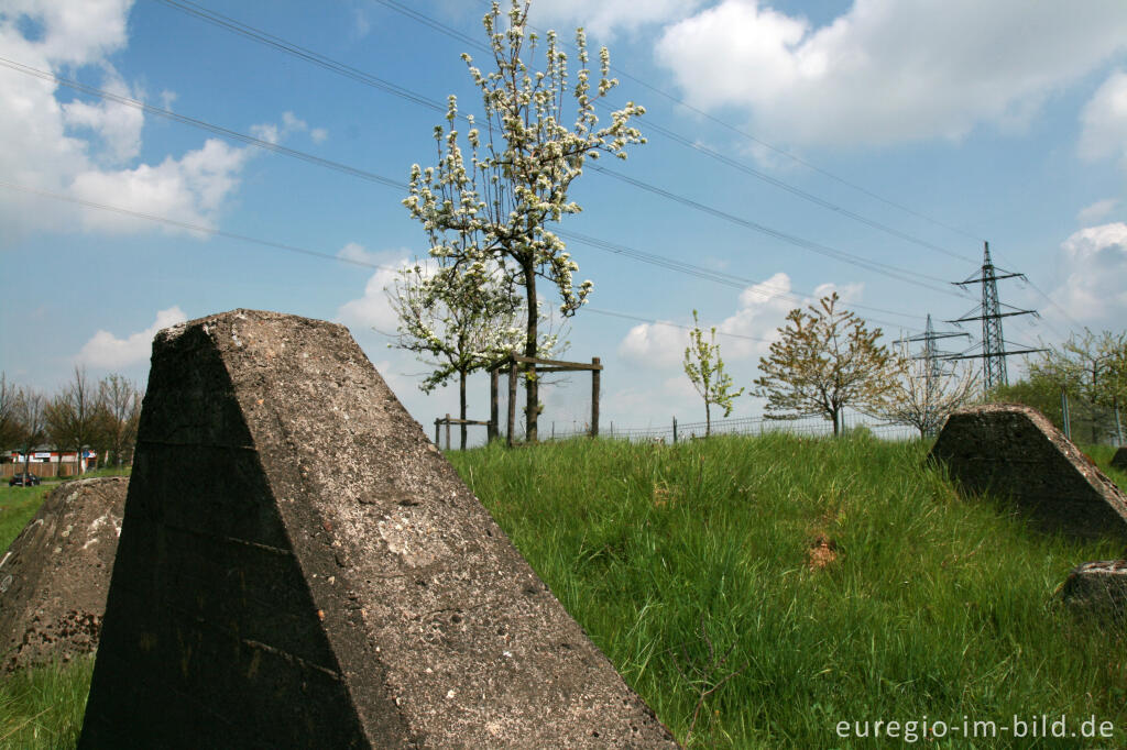 Detailansicht von Steuobstwiese und Panzersperre, Herzogenrath