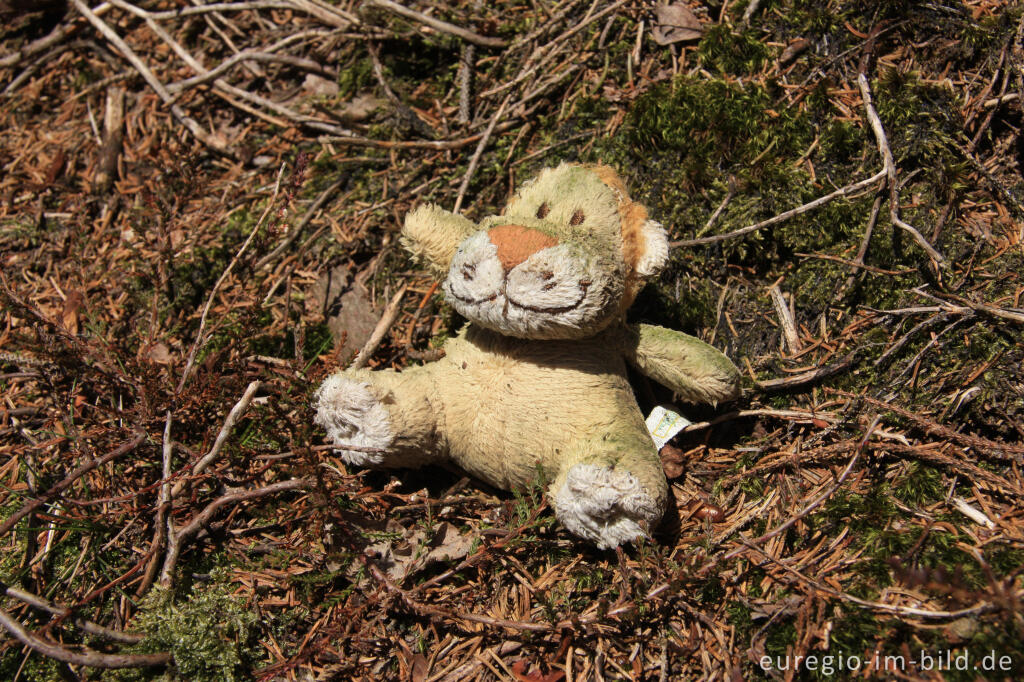 Detailansicht von Stofftier im Holzwarchetal