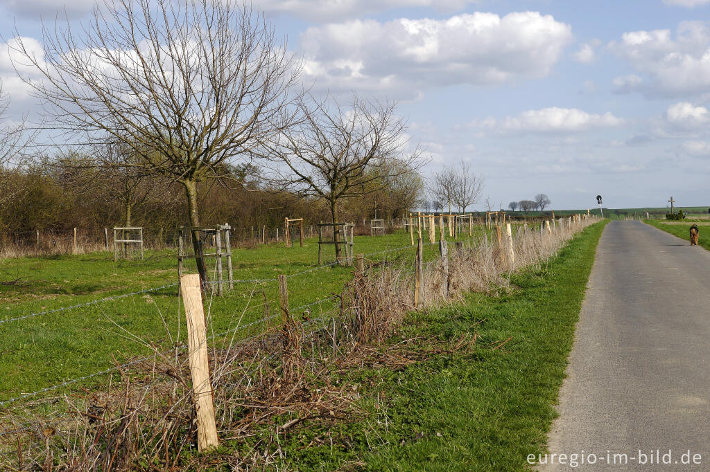 Streuobstwiese Finkenhag, Grenzroute 7, Aachen-Orsbach