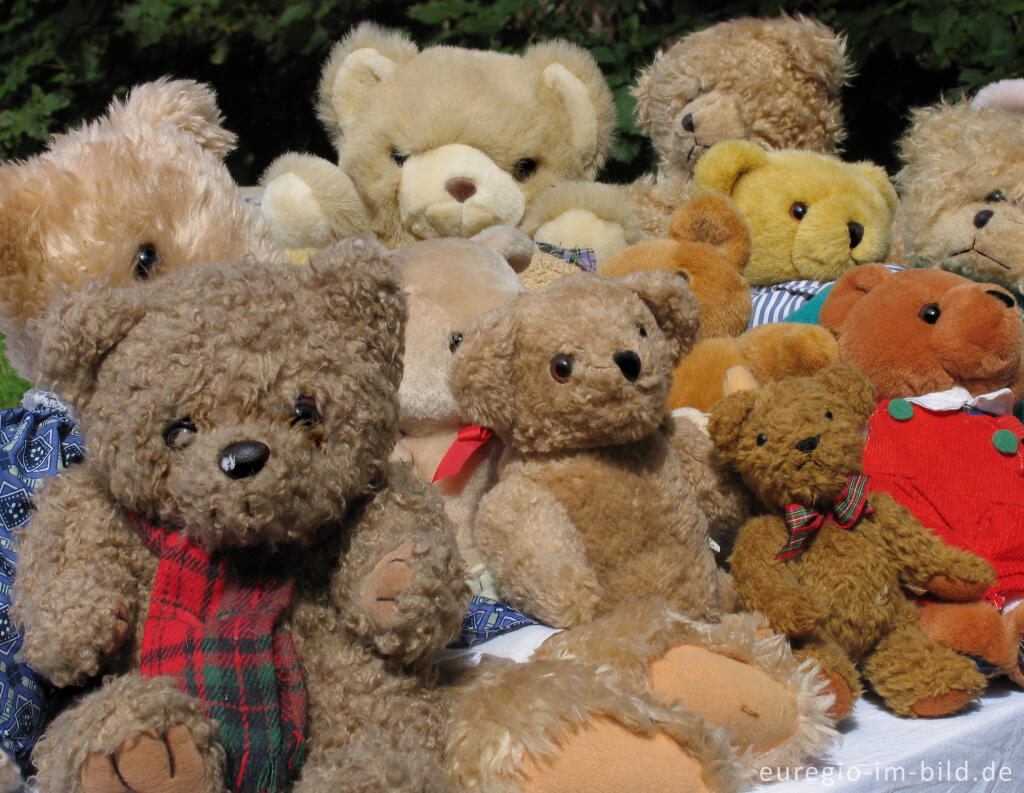 Detailansicht von Teddybären auf einem Flohmarkt, Herzogenrath