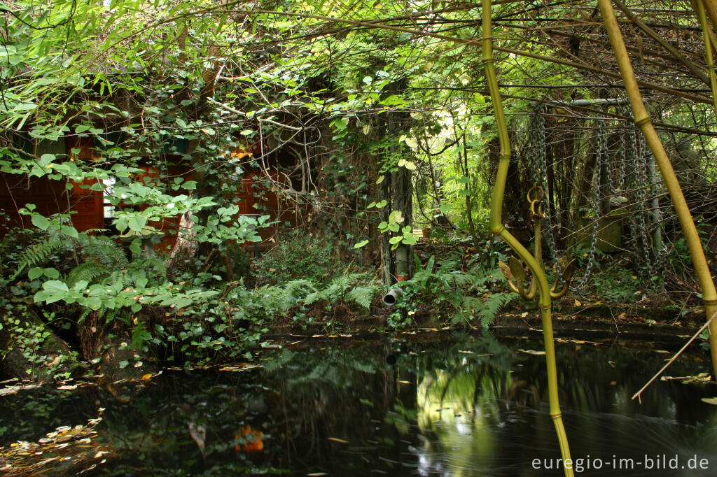 Detailansicht von Teich im Hortus Dialogus