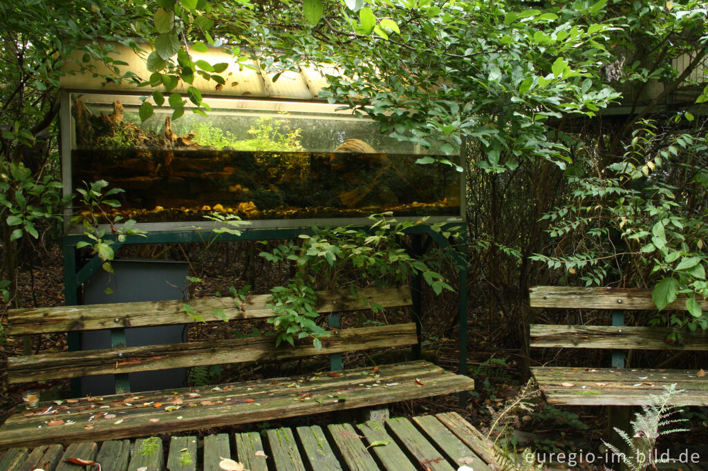 Detailansicht von Terrarium im Hortus Dialogus