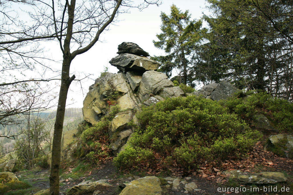 Detailansicht von Teufelsley, Eifelsteig, 3. Etappe