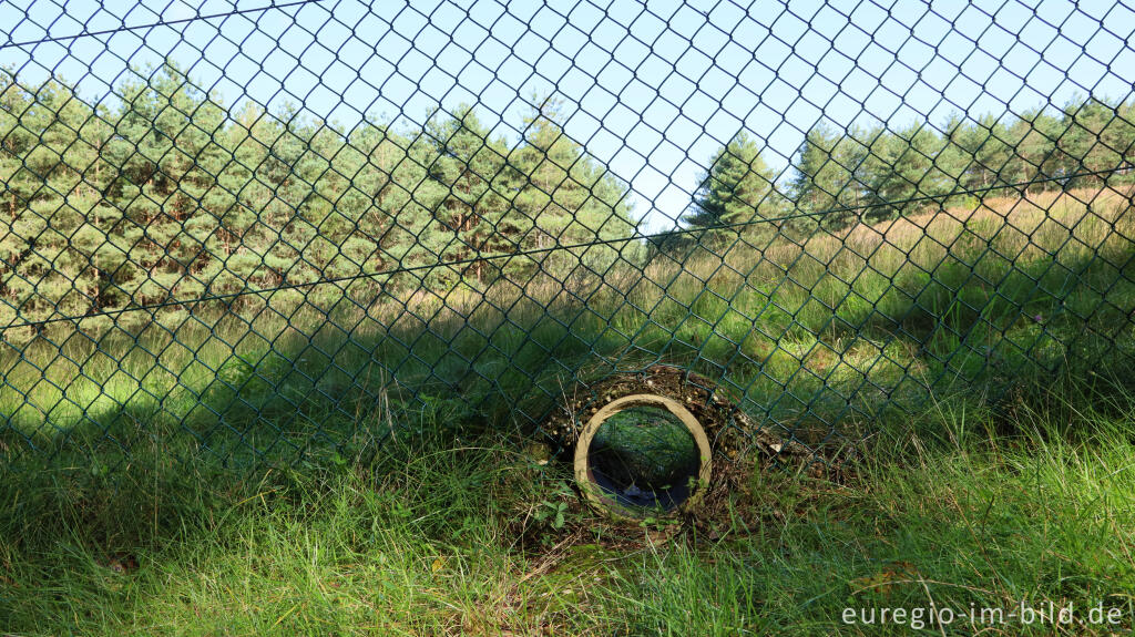 Detailansicht von Teverener Heide, Abgrenzung zur NATO Airbase Geilenkirchen, mit Passage für kleinere Tiere