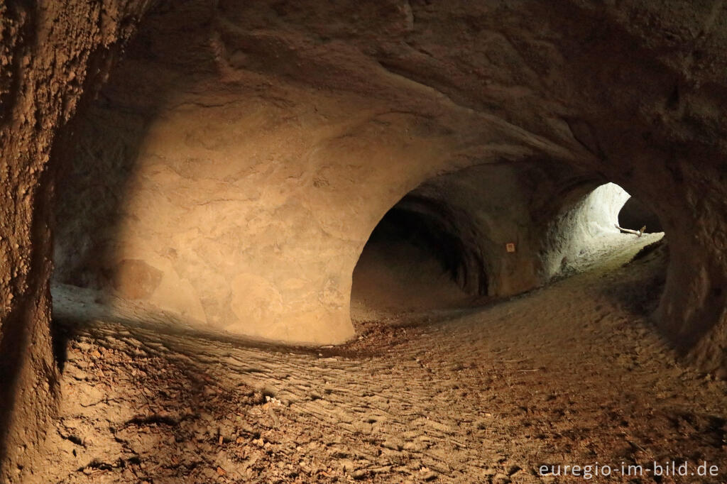 Detailansicht von Trass, Brohltal, Vulkaneifel, Trasshöhlen, vulkanisch, Höhlen, Höhlen- und Schluchtensteig, Wanderwege, Brohl,