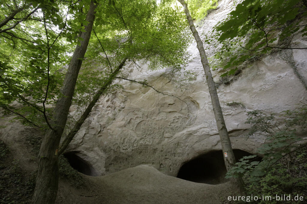 Detailansicht von Trass, Brohltal, Vulkaneifel, Trasshöhlen, vulkanisch, Höhlen, Höhlen- und Schluchtensteig, Wanderwege, Brohl,