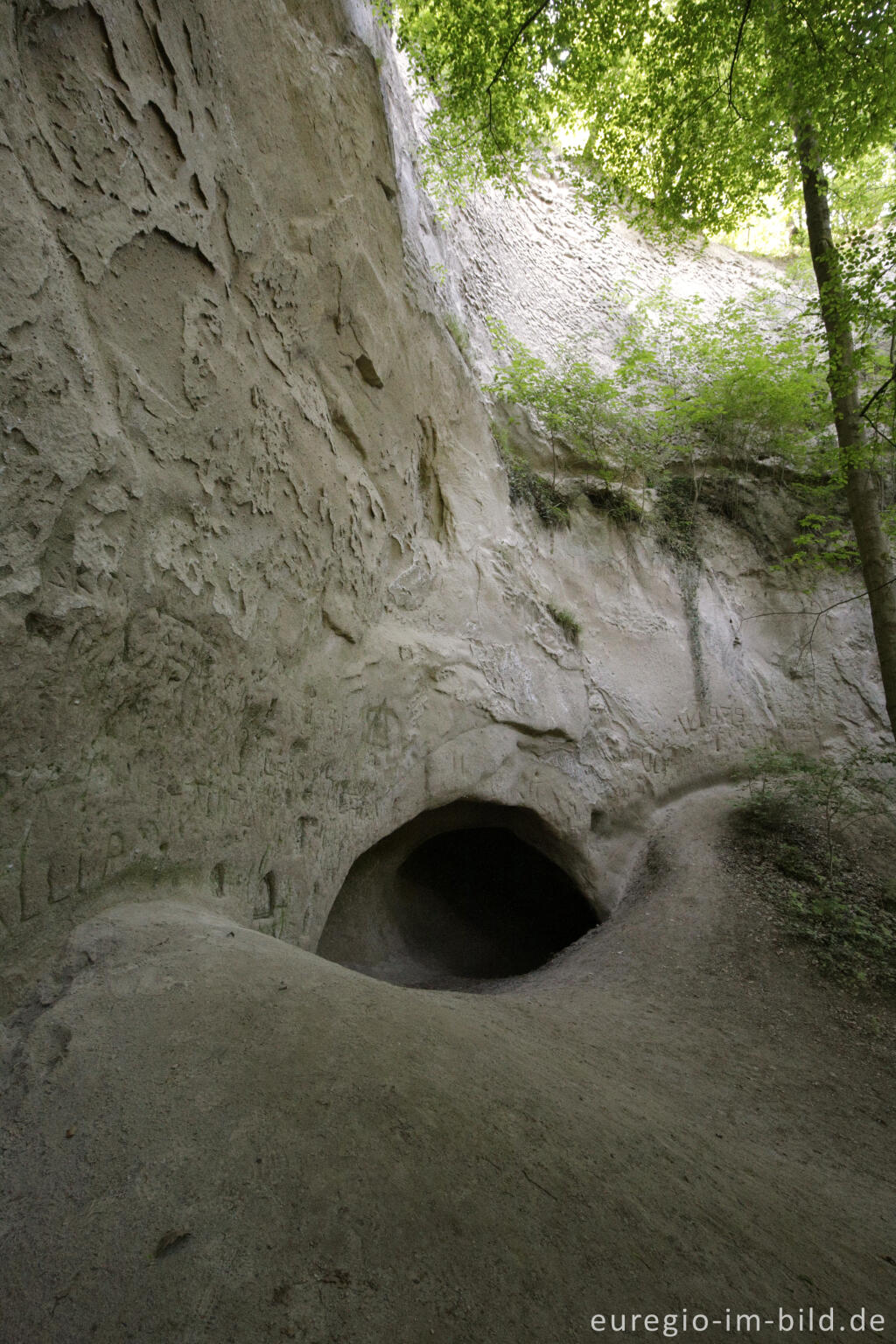 Detailansicht von Trass, Brohltal, Vulkaneifel, Trasshöhlen, vulkanisch, Höhlen, Höhlen- und Schluchtensteig, Wanderwege, Brohl,